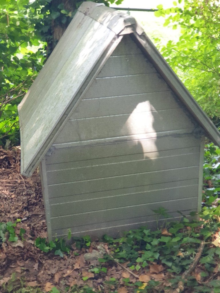 honden buiten/binnenhok+ hondenren delen, Dieren en Toebehoren, Hondenhokken, Ophalen, Gebruikt, 75 tot 110 cm, 65 tot 100 cm