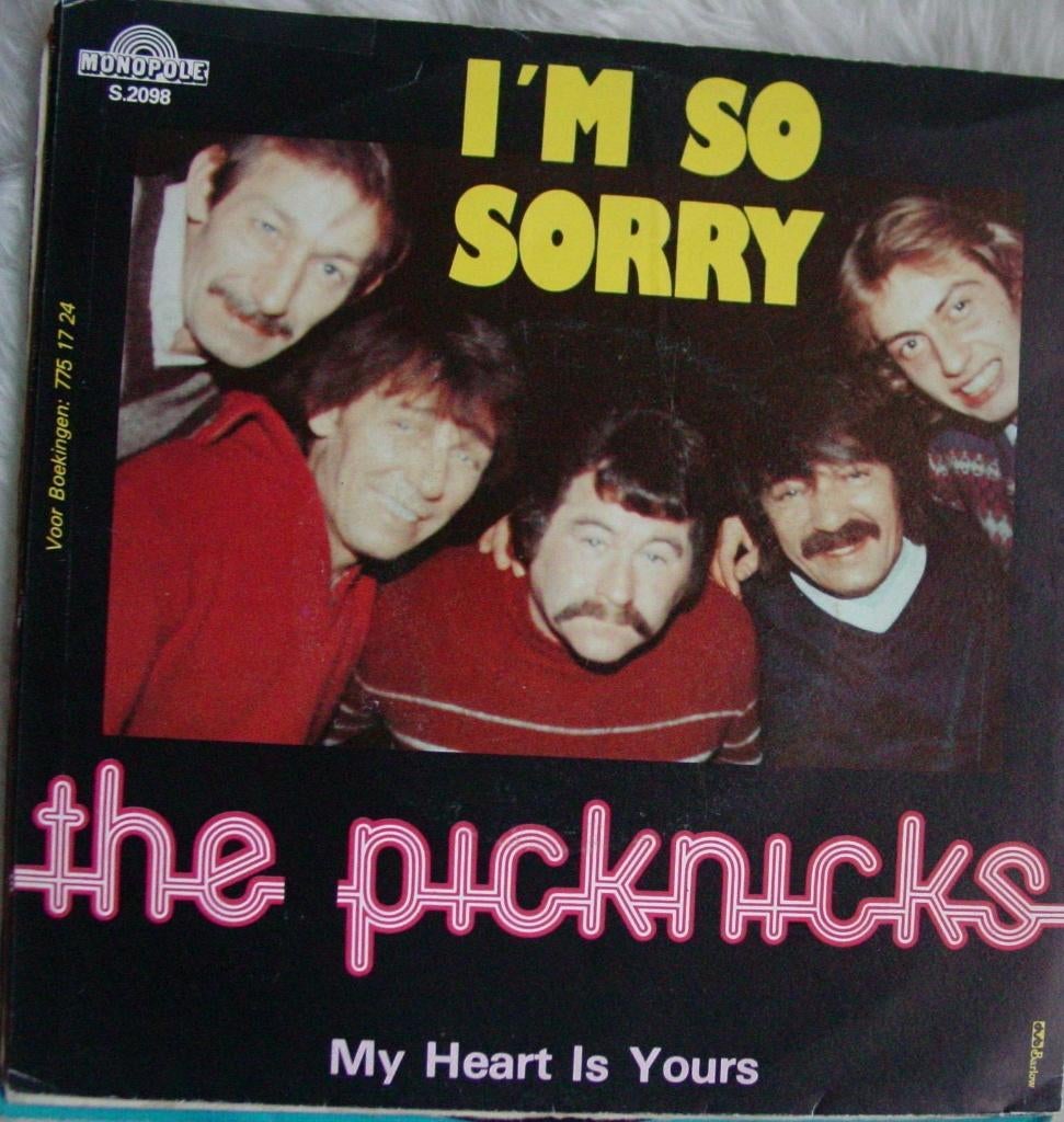 45T 7INCH VINYL SINGLE THE PICKNICKS, Cd's en Dvd's, Ophalen of Verzenden, Zo goed als nieuw, Pop