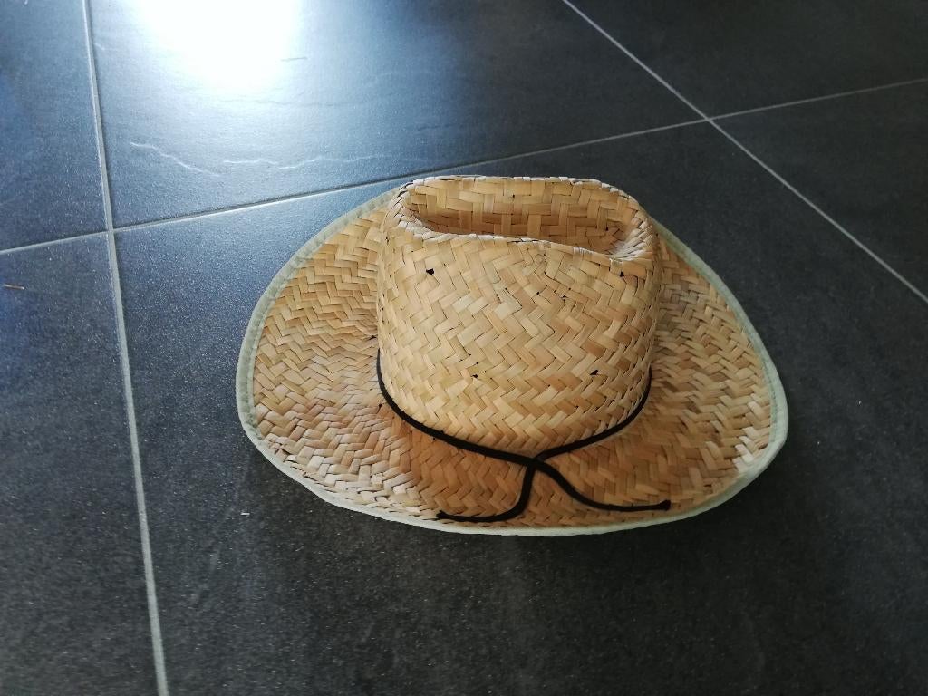 Cowboyhoed (carnaval), Ophalen of Verzenden, Gebruikt, Hoed of Pruik, Carnaval