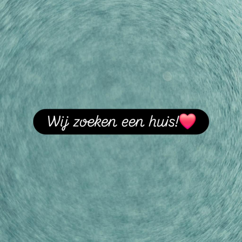 wij zoeken een koop- of huurhuis