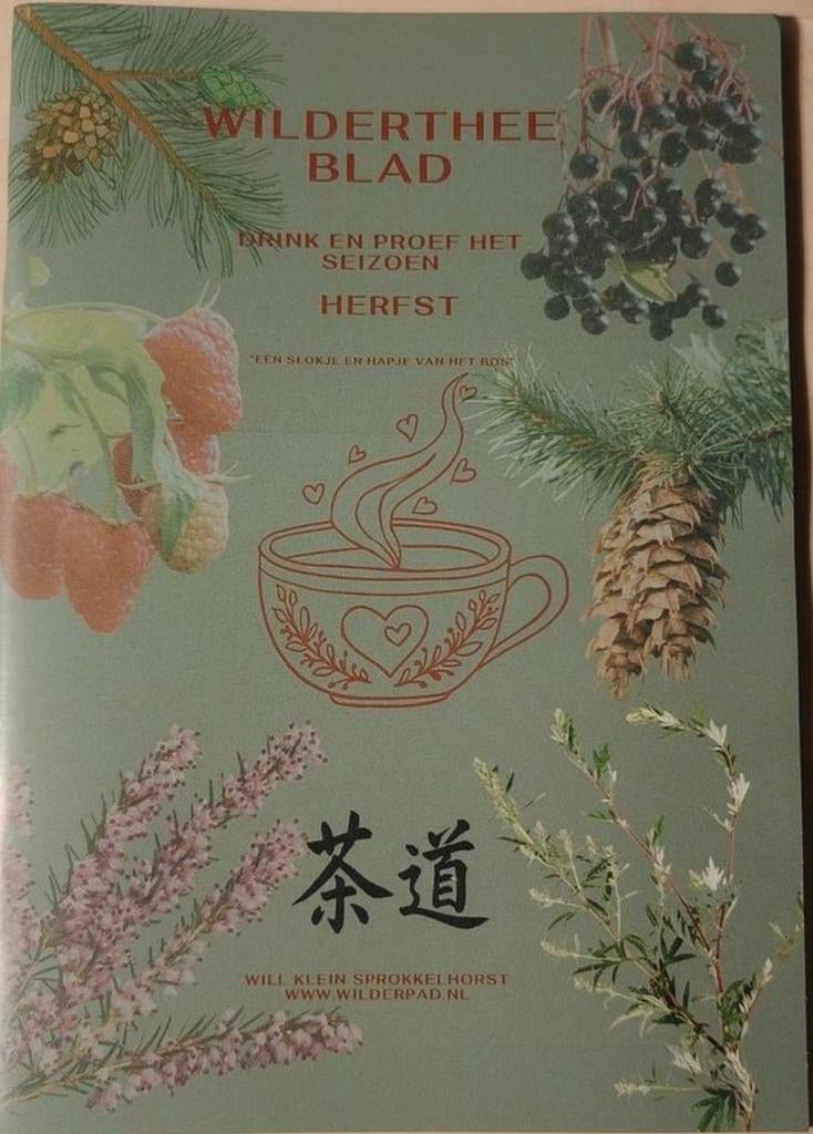 Wildertheeblad herfst wildpluk thee en veel keto hapjes, Boeken, Ophalen of Verzenden, Achtergrond en Informatie