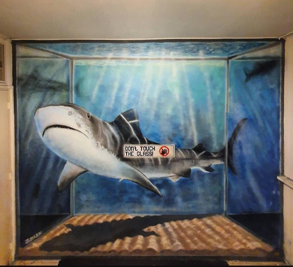 Graffiti Artiest /Muurschilderingen/ Street art., Diensten en Vakmensen