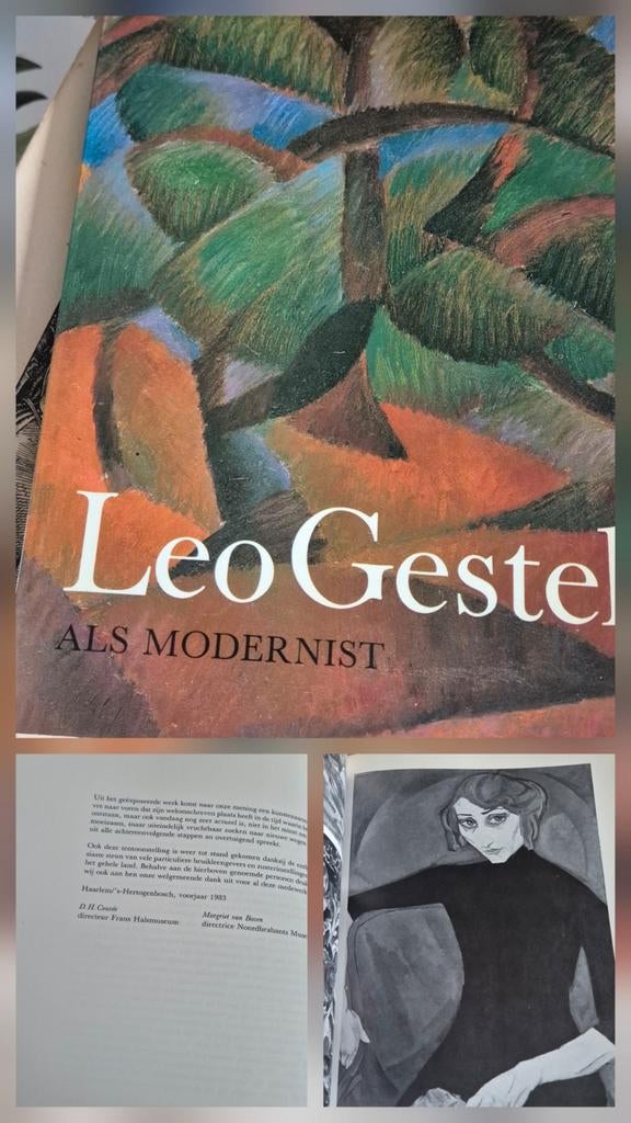 Leo Gestel - Als Modernist - Kunstboek, Ophalen of Verzenden
