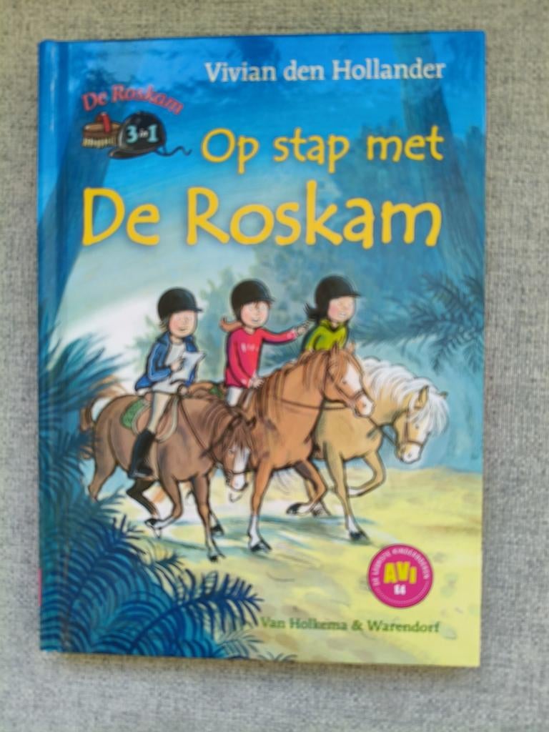 Op Stap met De Roskam - Vivian den Hollander, Ophalen of Verzenden, Zo goed als nieuw, Vivian den Hollander, Fictie algemeen