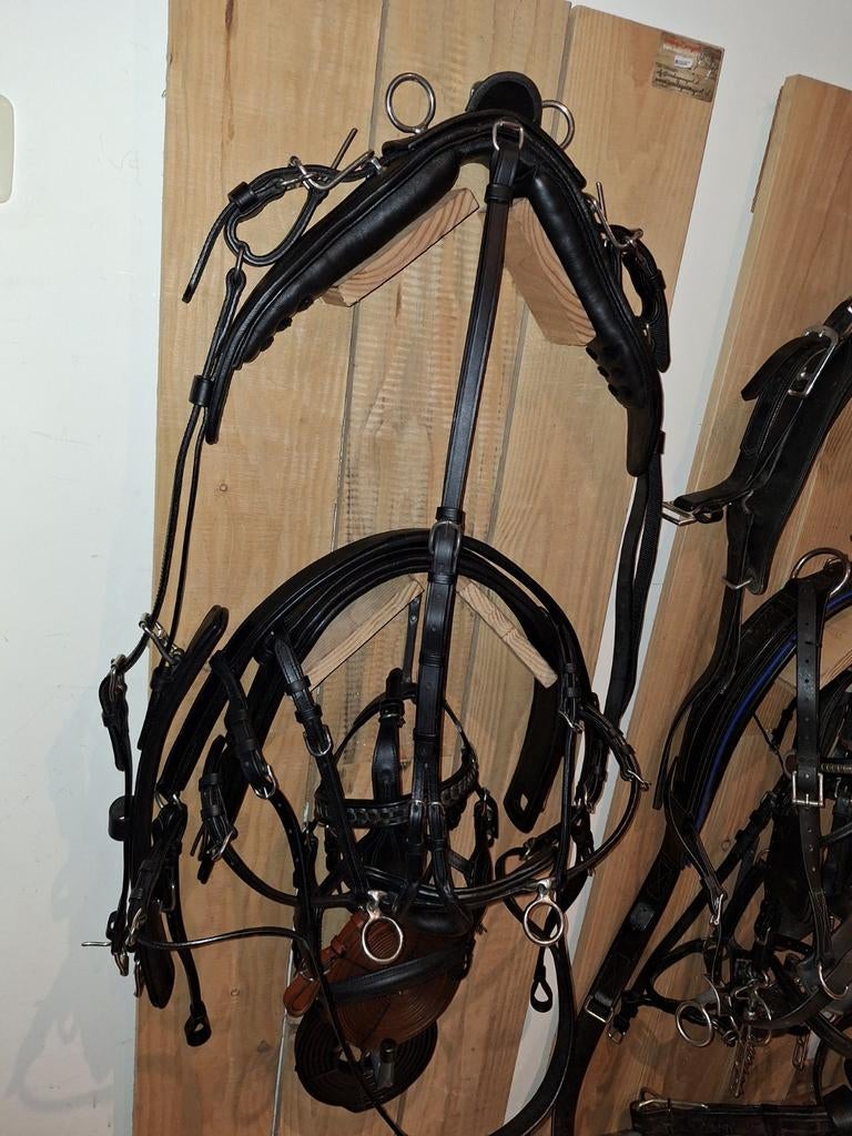 Pony ponytuig tuig tuigen enkelspan tuigage, Dieren en Toebehoren, Paarden en Pony's | Hoofdstellen en Tuigage, Ophalen of Verzenden