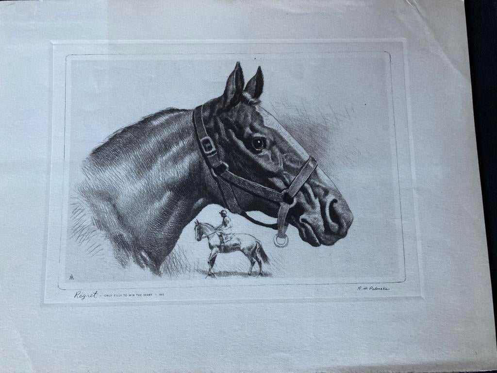 Regret only Filly to win the derby R,H. Palenske, Ophalen of Verzenden