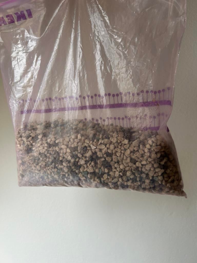 Lechuza pon, zak 500 gram, Huis en Inrichting, Kamerplanten, Minder dan 100 cm, Halfschaduw, Ophalen of Verzenden