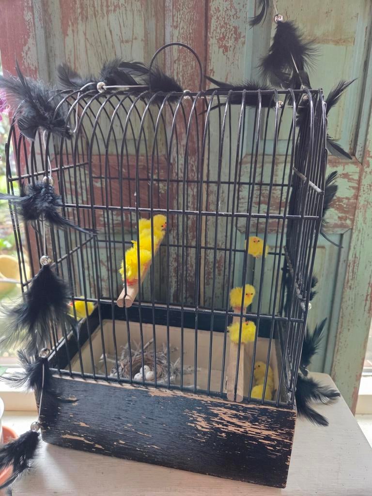Leuk oud vogelkooitje voor decoratie ., Ophalen of Verzenden