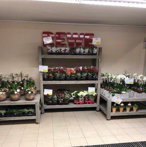 Bloemisten Meubels/Plantenrek inrichting maatwerk handwerk, Ophalen of Verzenden