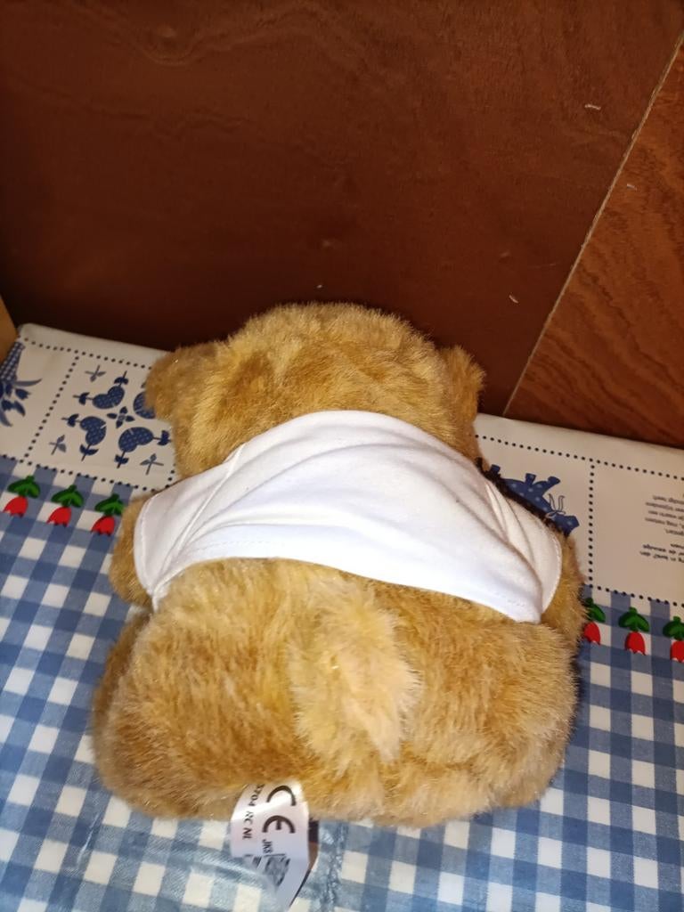 Bruine beer knuffel met t-shirt Albert Heijn 23 cm groot, Ophalen of Verzenden, Zo goed als nieuw, Beer