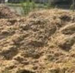 Gratis Paardenmest - Ideaal voor uw tuin!, Tuin en Terras, Ophalen, Mest