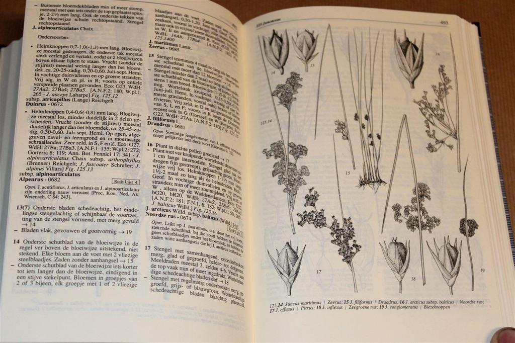 Heukels\' Flora van Nederland — Hét Standaardwerk [21e Druk], Boeken, Natuur, Ophalen of Verzenden, Zo goed als nieuw, Bloemen, Planten en Bomen