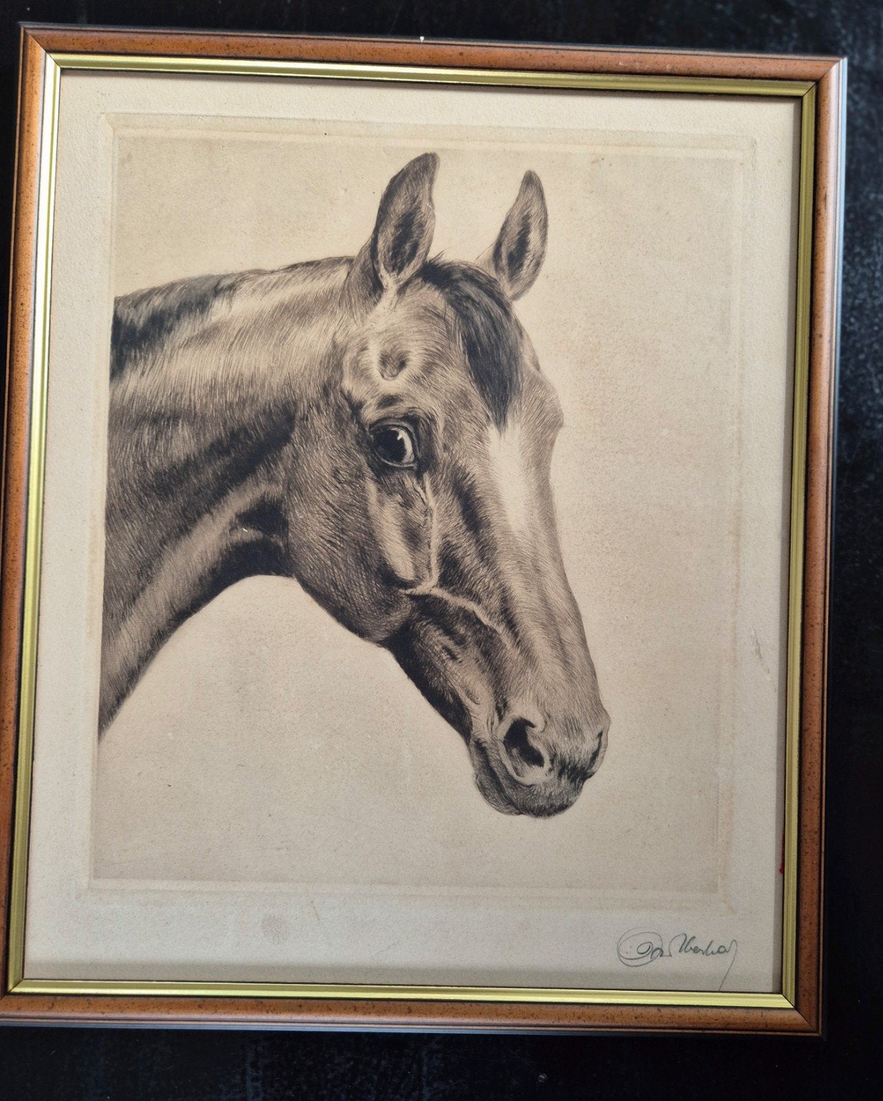 Originele ets Paard door Kurt Meyer-Eberhardt, Antiek en Kunst, Ophalen of Verzenden, Tekening, Potloodtekening, Gesigneerd