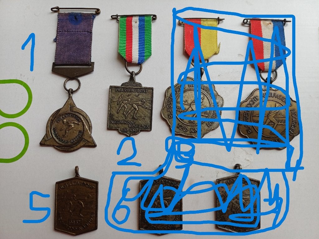 Medaille Schaatsen Plassentocht Nieuwkoop Noorden, Postzegels en Munten, Penningen en Medailles, Ophalen of Verzenden, Overige materialen
