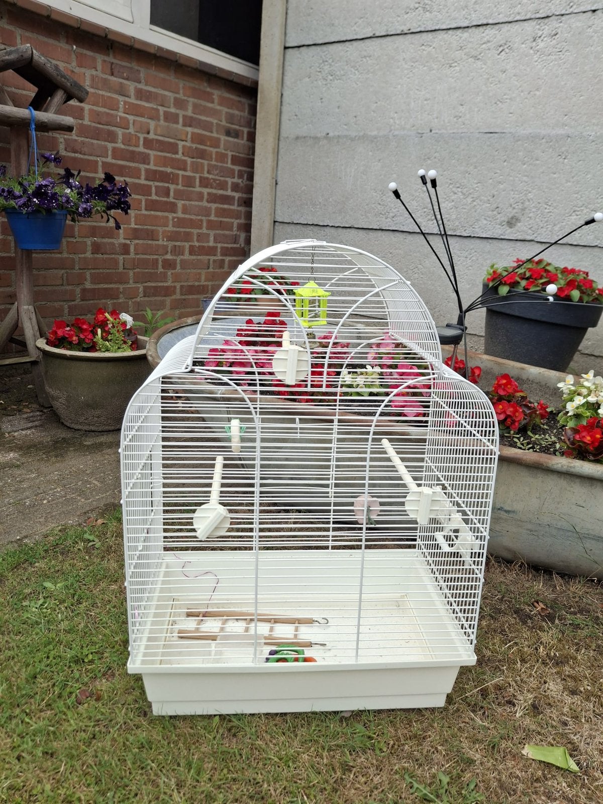 Een fijne vogelkooi, Ophalen, Gebruikt, Metaal, Vogelkooi