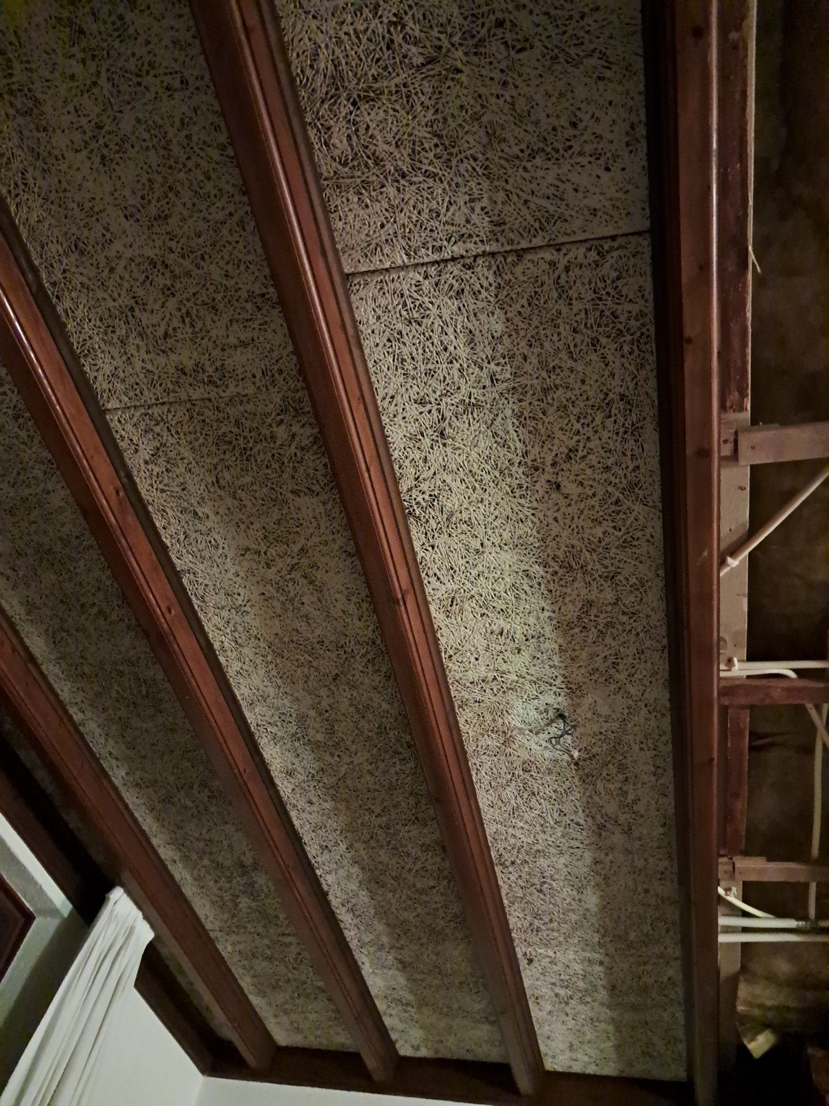 gratis houtwolcement platen, Ophalen, 30 cm of meer, Gebruikt, 50 tot 150 cm