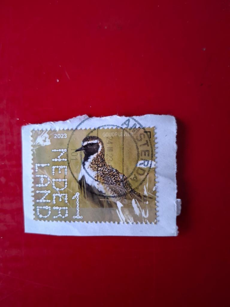 Nederland 2023   nvph4089, Ophalen of Verzenden, Na 1940, Gestempeld