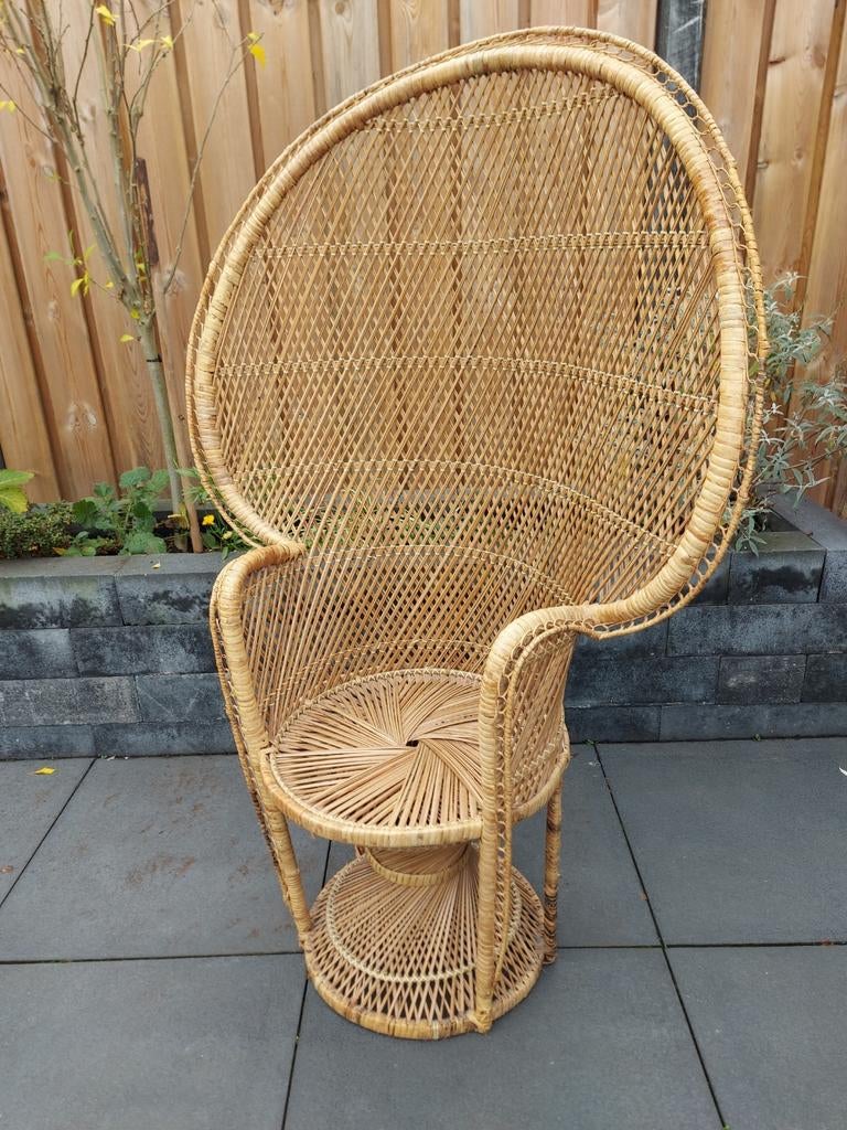Vintage rotan/rieten pauwenstoel, Ophalen, Zo goed als nieuw, Rotan