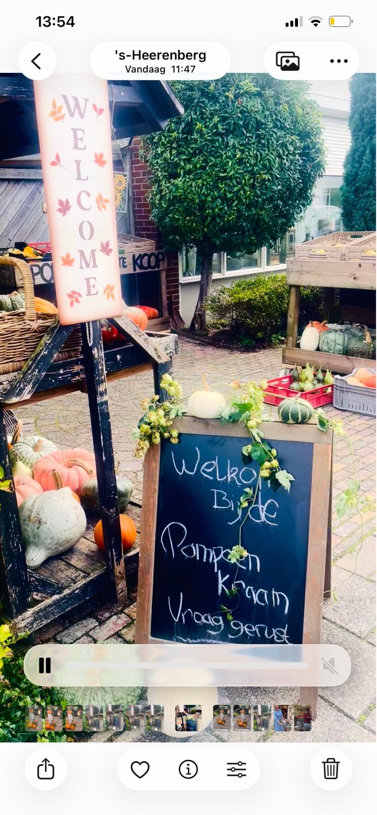 Pompoenen.  ‘s-Heerenberg  bloemschikken, Ophalen of Verzenden, Zo goed als nieuw, Versiering