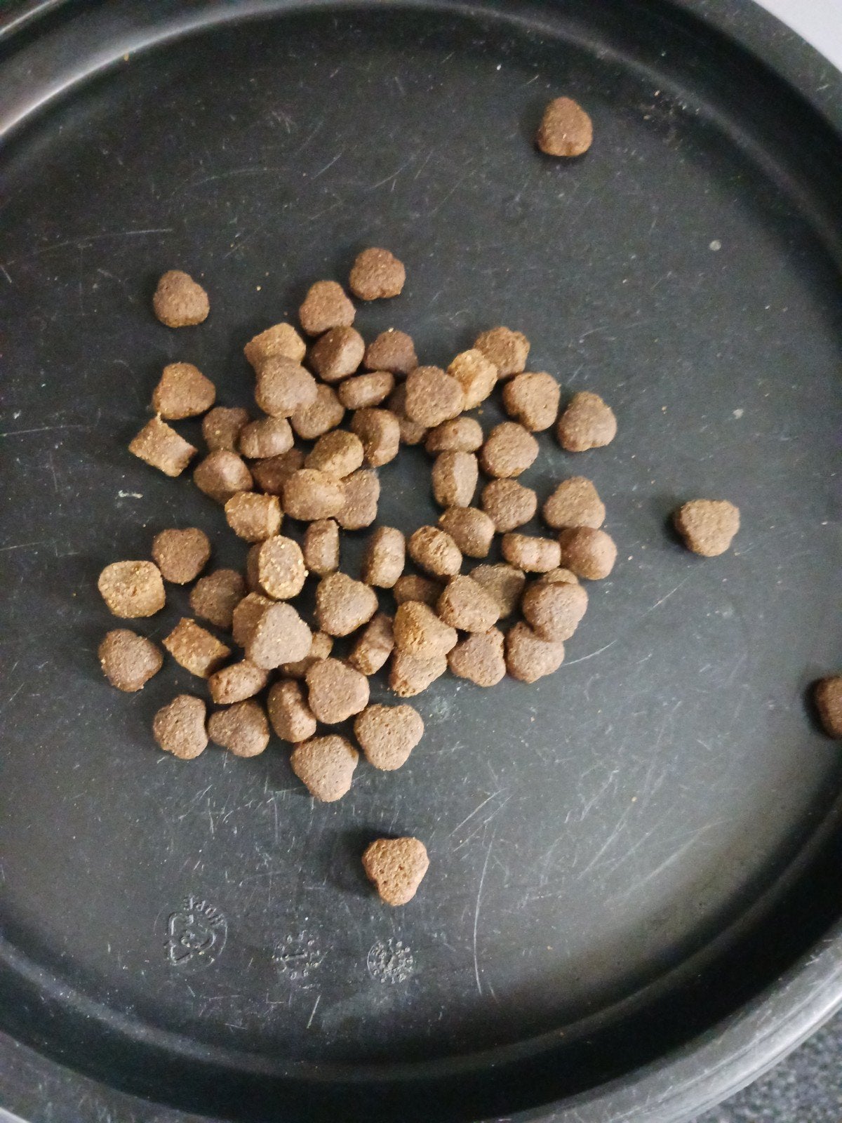 hondenbrokken van Renske, Dieren en Toebehoren, Ophalen of Verzenden, Hond