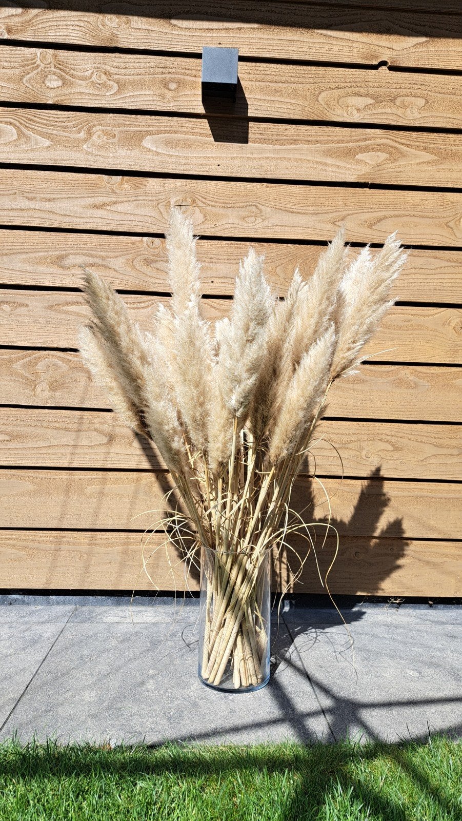Pampas pluimen gedroogd 39 stuks, Ophalen of Verzenden