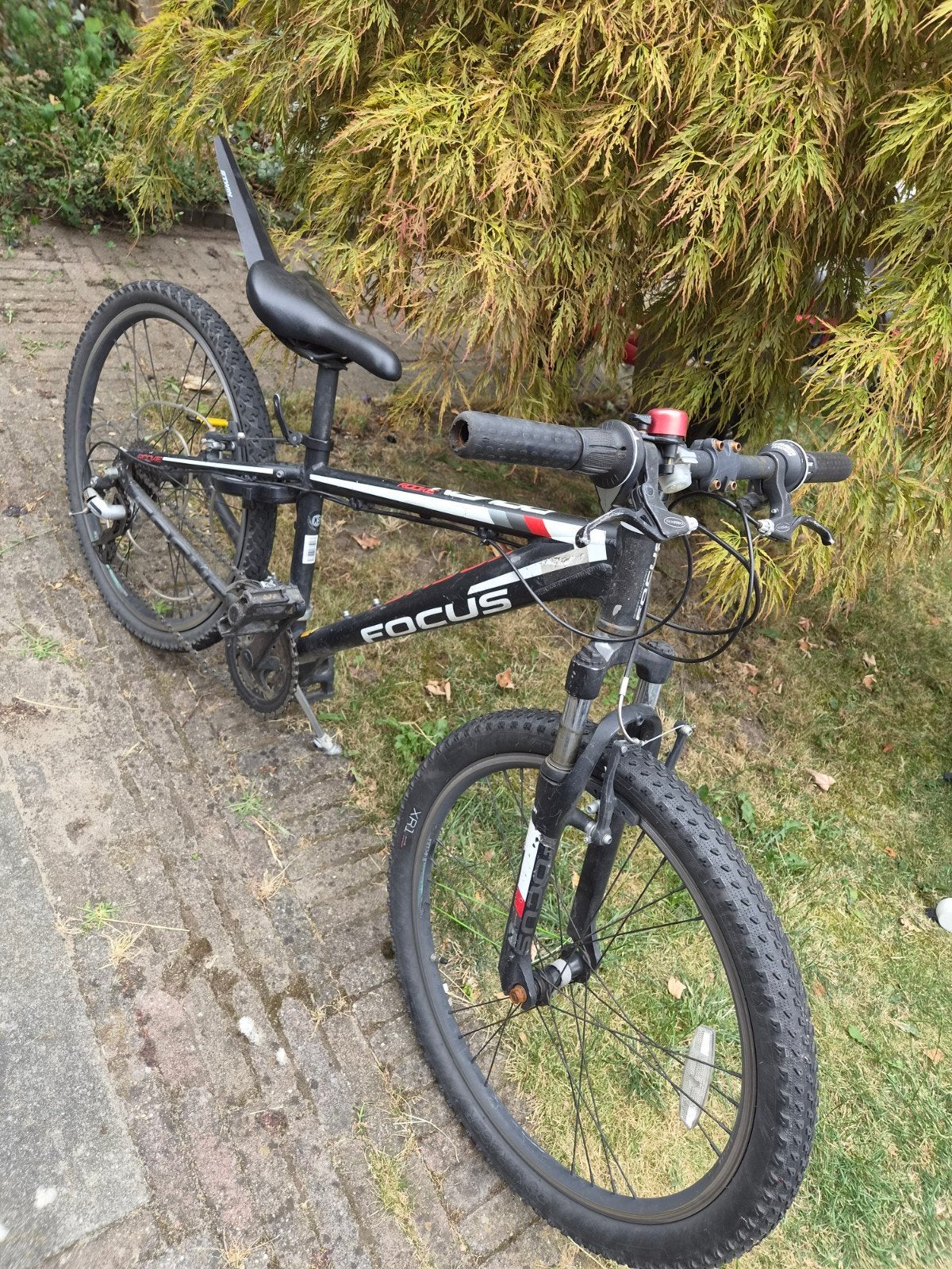 Focus Mountainbike - Gebruikt, Gebruikt, Hardtail, Velgrem, 49 tot 53 cm