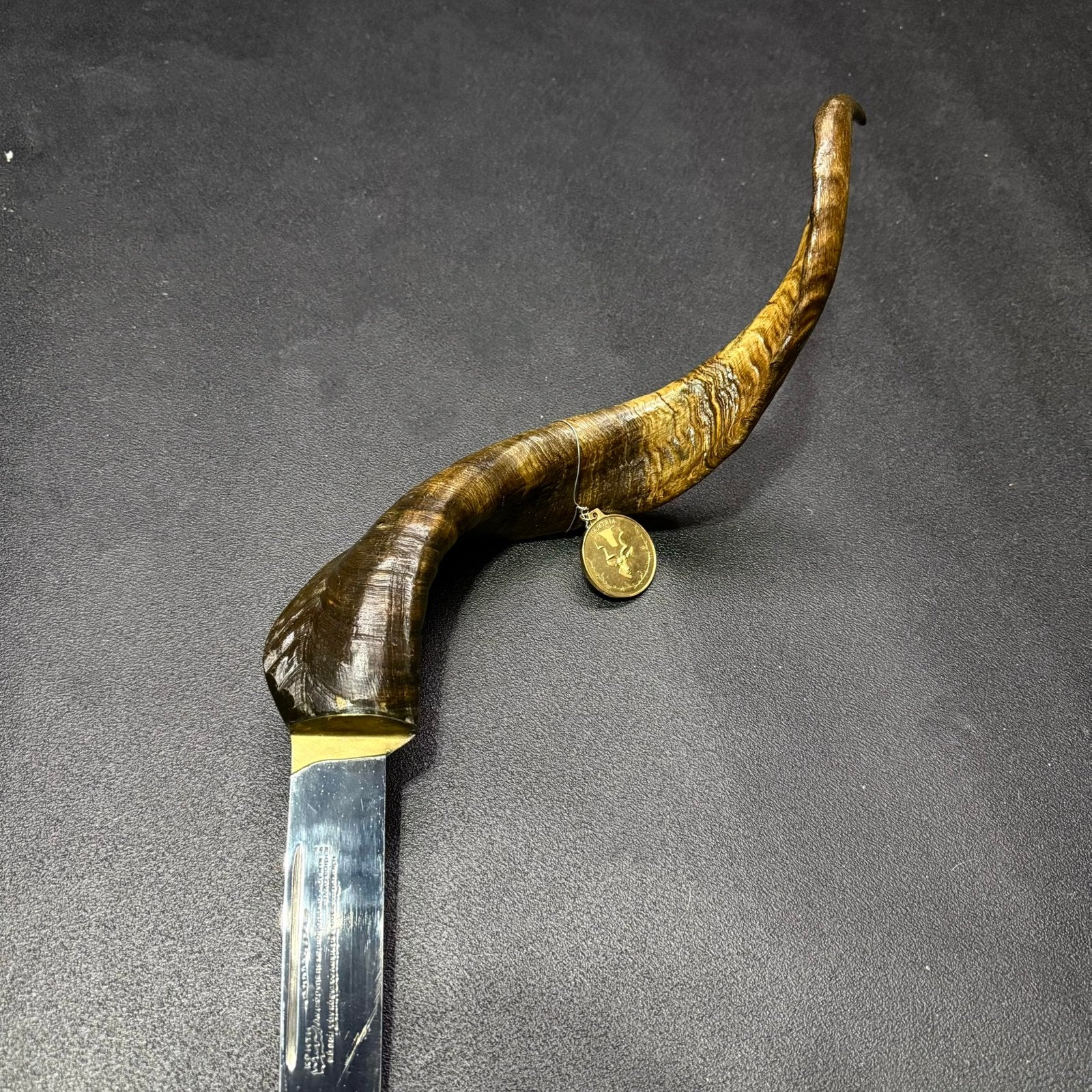 Opgezette taxidermie hoorn mes wapen dolk zwaard, Ophalen of Verzenden, Zo goed als nieuw, Reptiel of Amfibie, Opgezet dier
