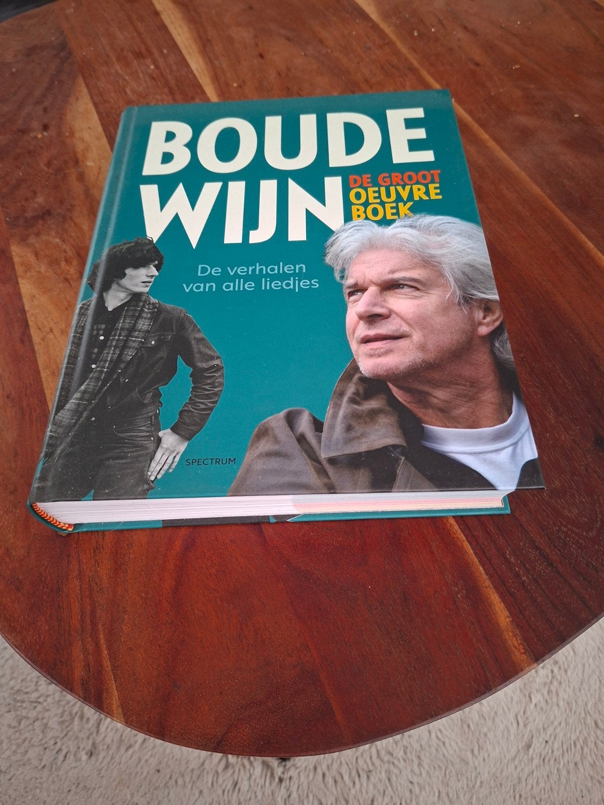 Boudewijn de Groot Oeuvre Boek - Verhalen van alle liedjes, Boeken, Ophalen, Zo goed als nieuw, Peter Voskuil/Boudewijn de Groot