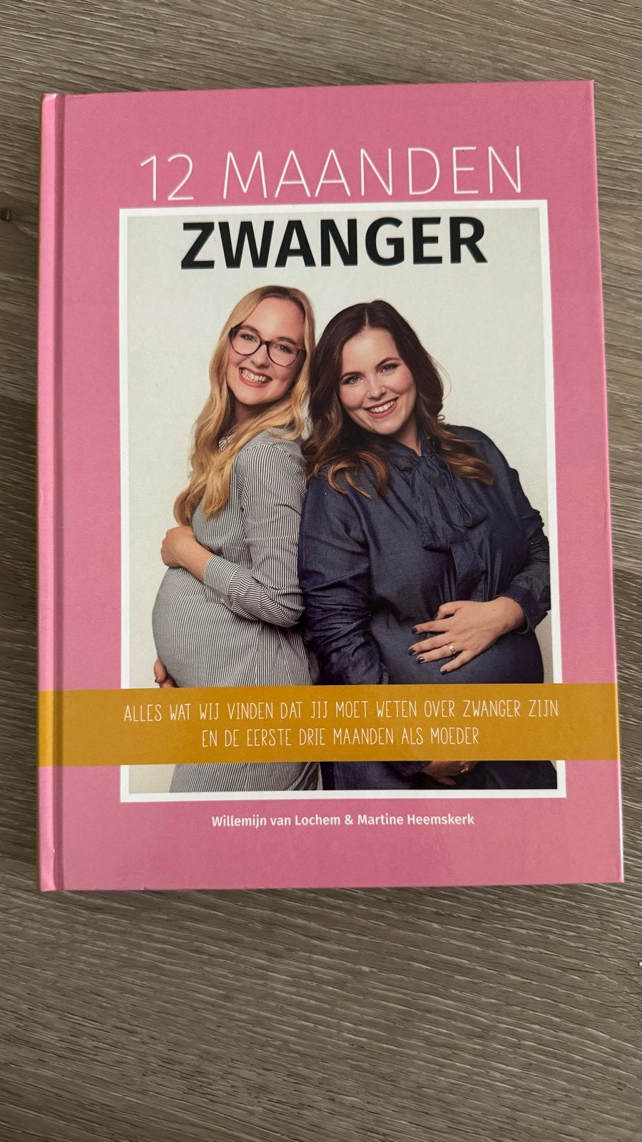 12 Maanden Zwanger- willemijn van lochem & martine heemskerk, Ophalen of Verzenden, Zo goed als nieuw, Zwangerschap en Bevalling