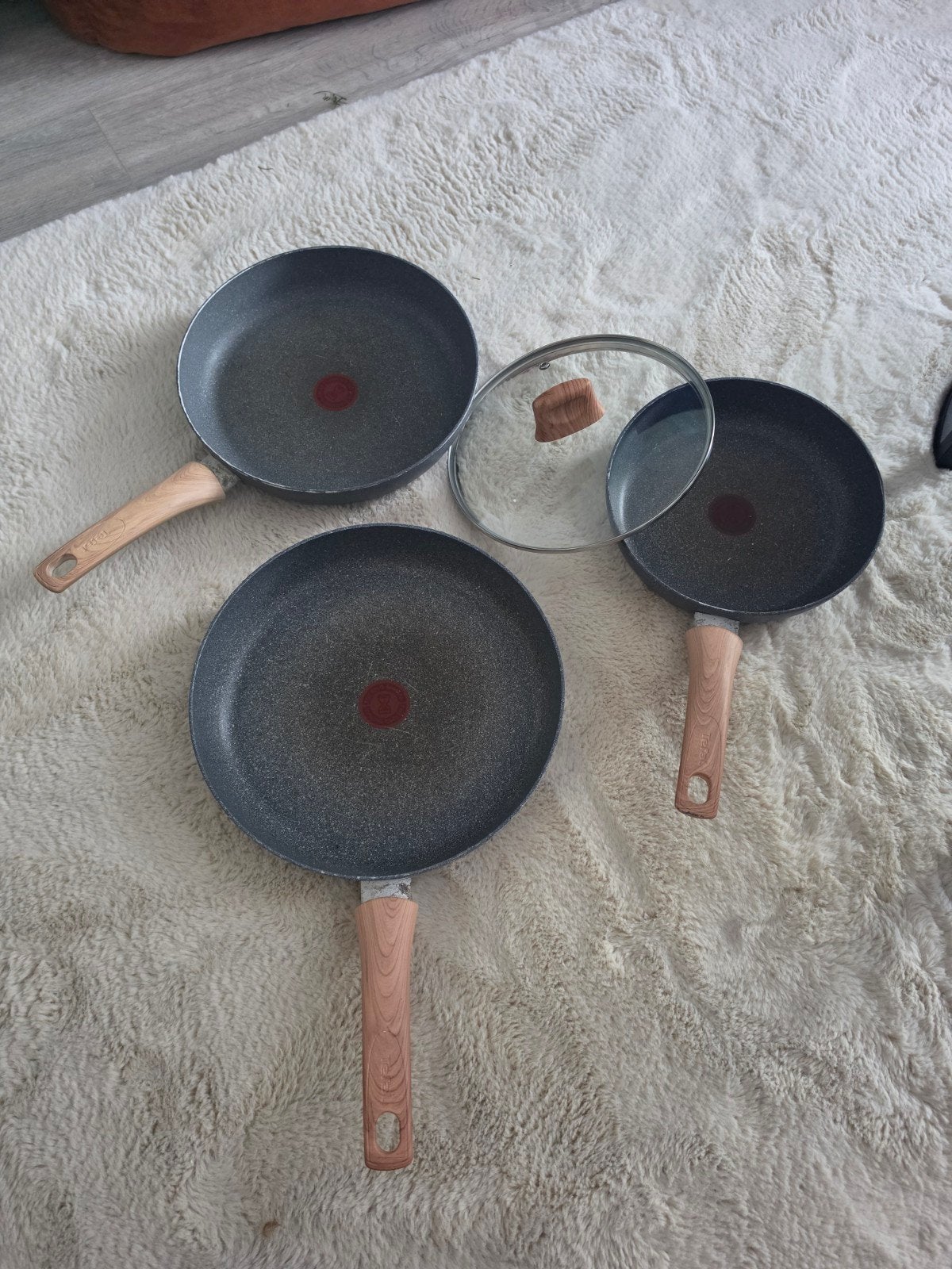Tefal Koekenpannen Set met Antiaanbaklaag en Deksel, Overige materialen, Tefal, Pannenset, Ophalen of Verzenden