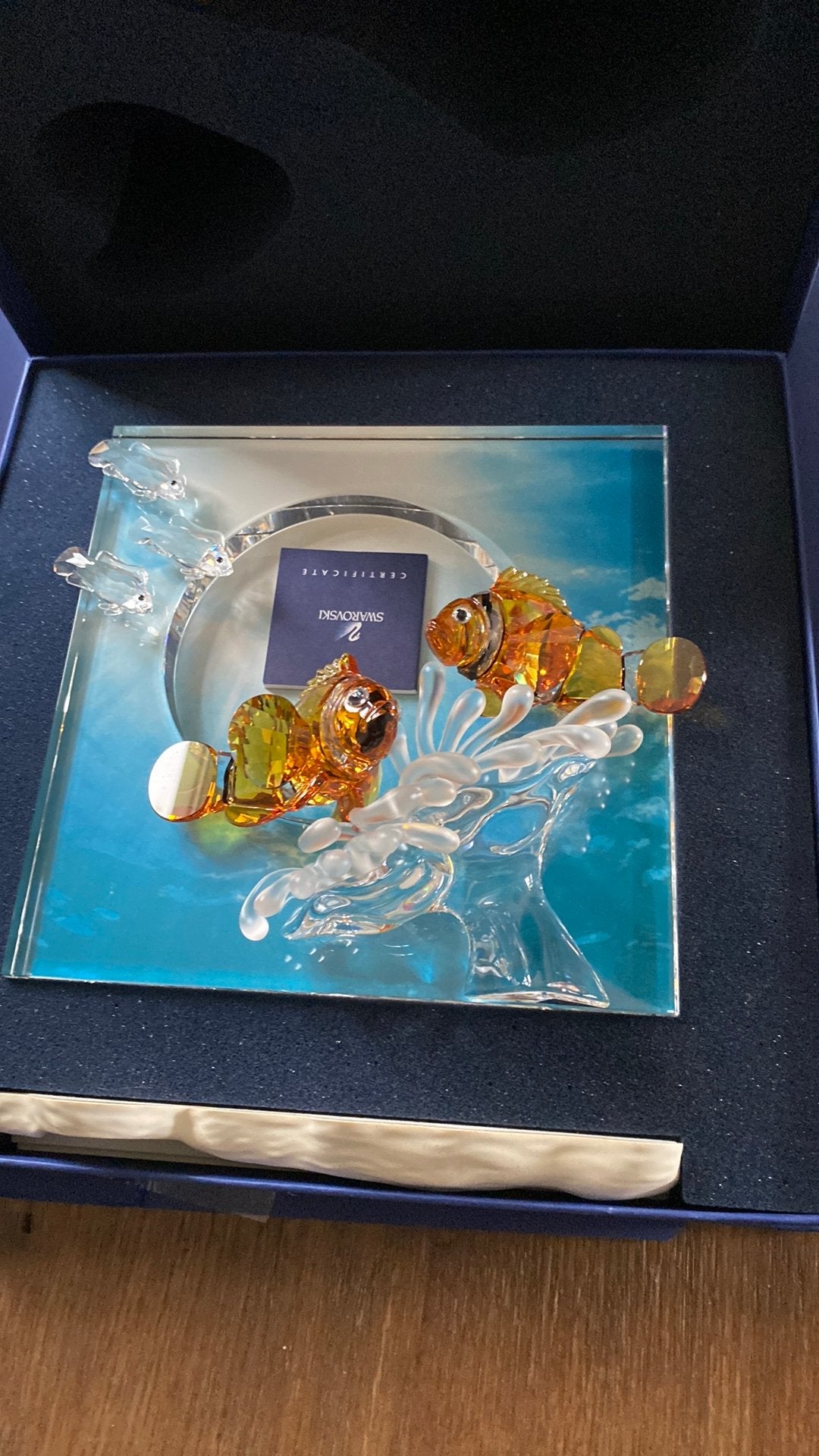 Gekeurde wonders of the sea nieuwstaat met spiegel, Ophalen of Verzenden, Zo goed als nieuw, Figuurtje