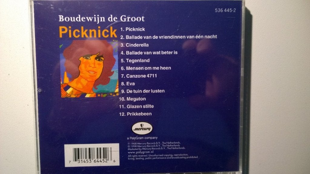 Boudewijn de Groot - Picknick, Cd's en Dvd's, Ophalen of Verzenden, Zo goed als nieuw, Pop, Album