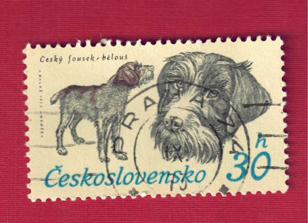 Fauna - Honden - Tsjecho-Slowakije - 30h - gebr, Ophalen of Verzenden, Gestempeld, Dier of Natuur