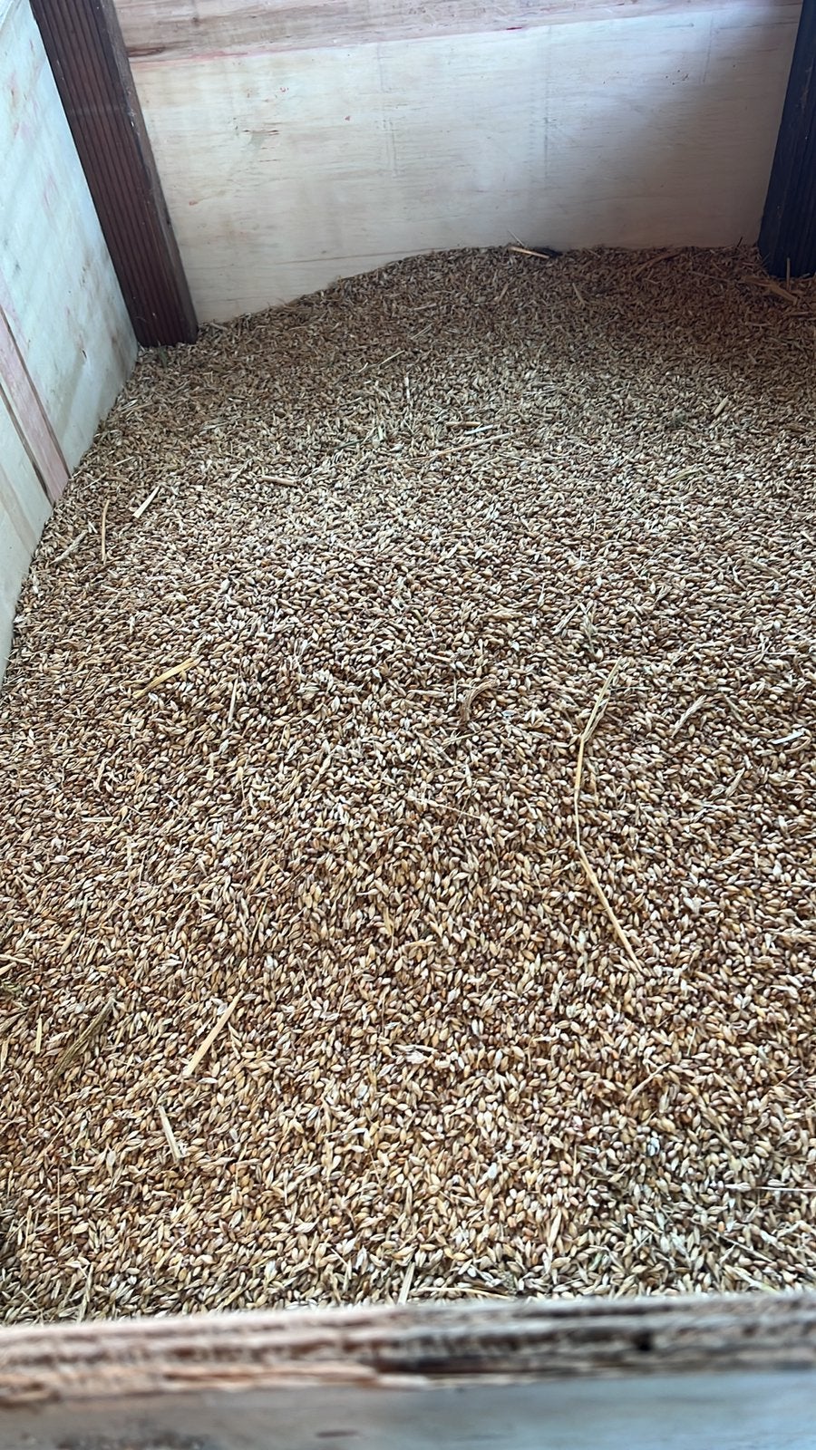 Kippenvoer tarwe /gerst, Dieren en Toebehoren, Dierenvoeding, Ophalen, Pluimvee