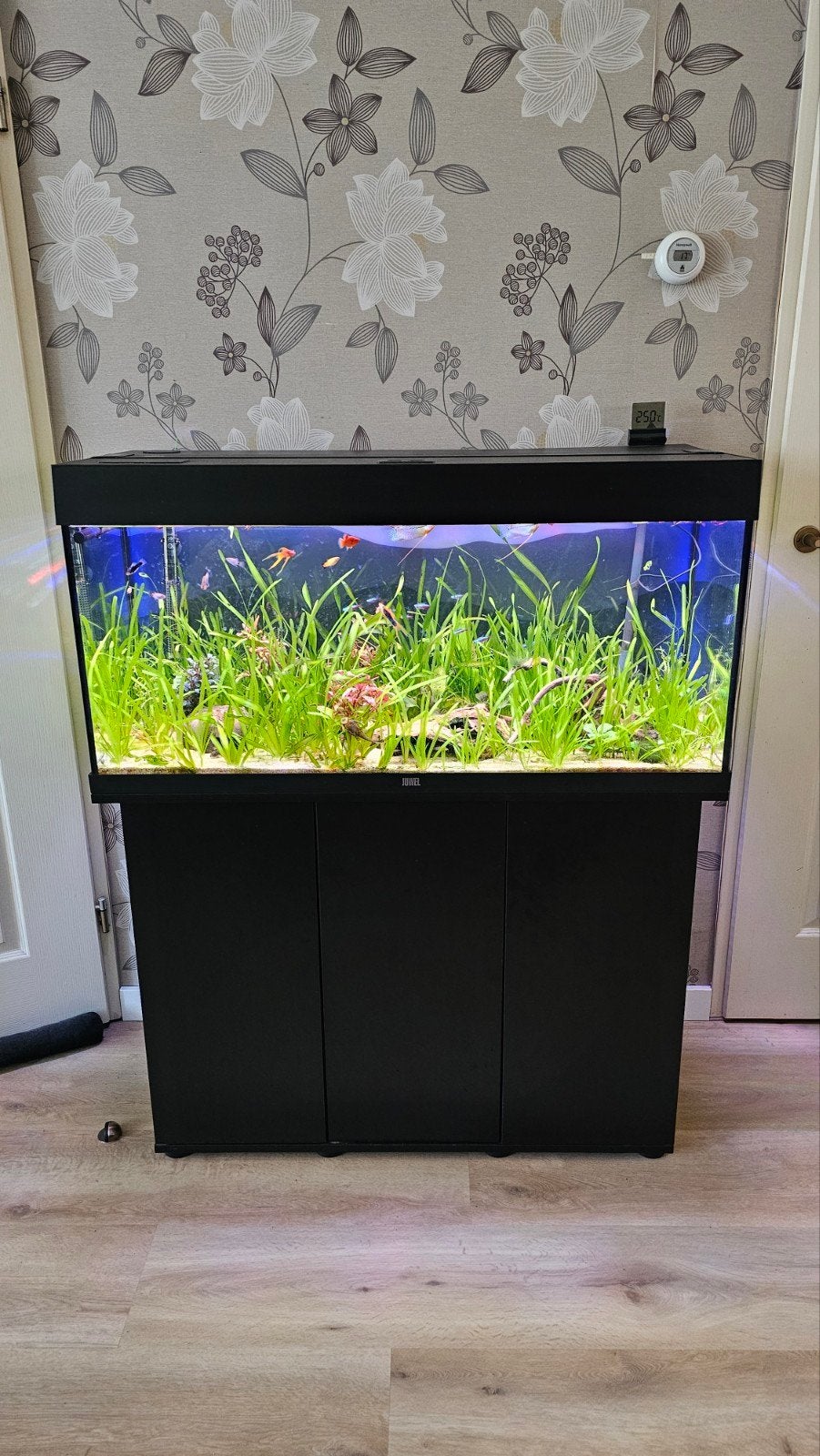Aquarium Juwel Rio 180 met helialux systeem., Ophalen, Zo goed als nieuw, Gevuld zoetwateraquarium
