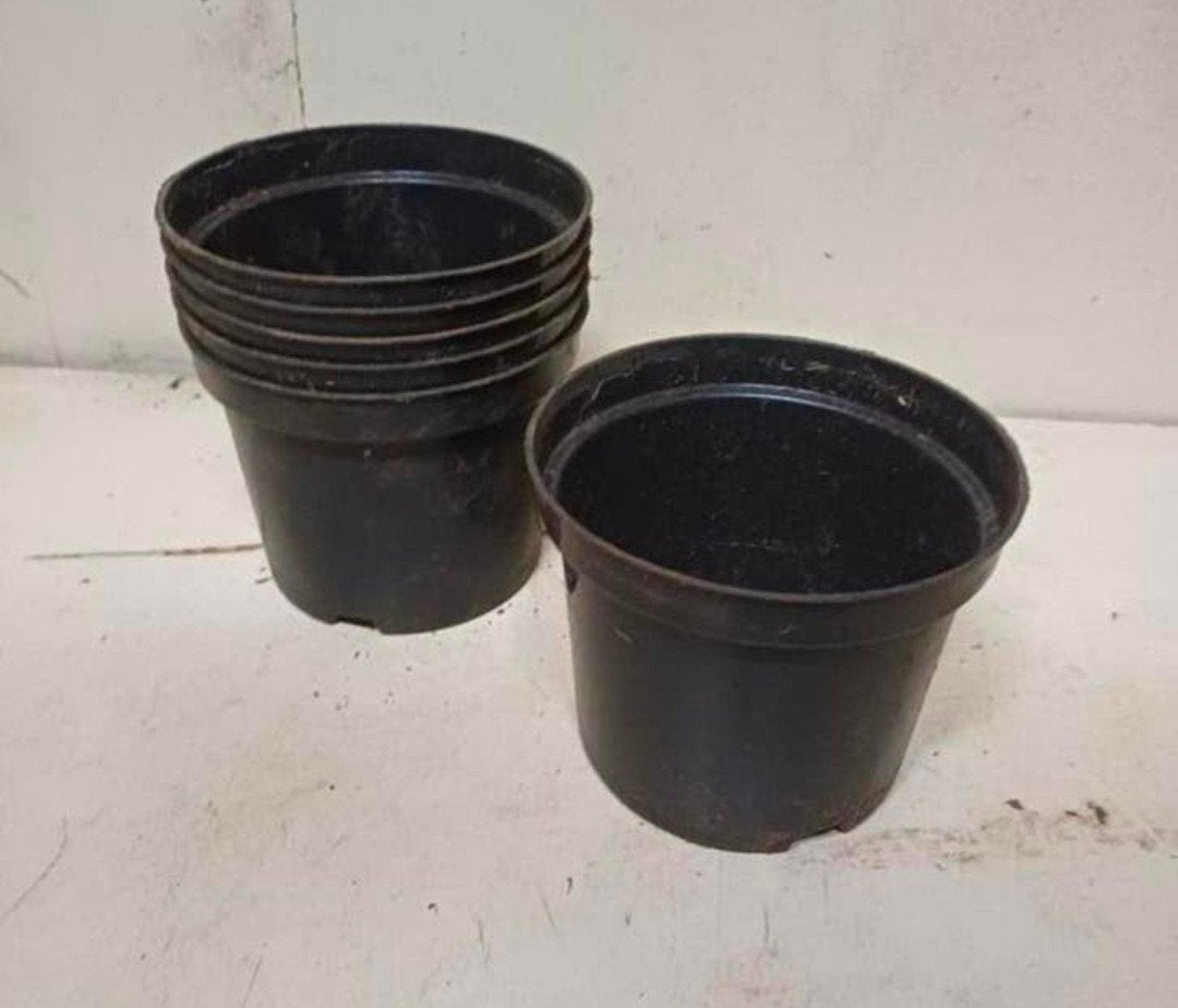 Kweekpotten plantenpotten bloempotten 1,5 liter, Tuin en Terras, Kunststof, Gebruikt, Rond, Ophalen of Verzenden