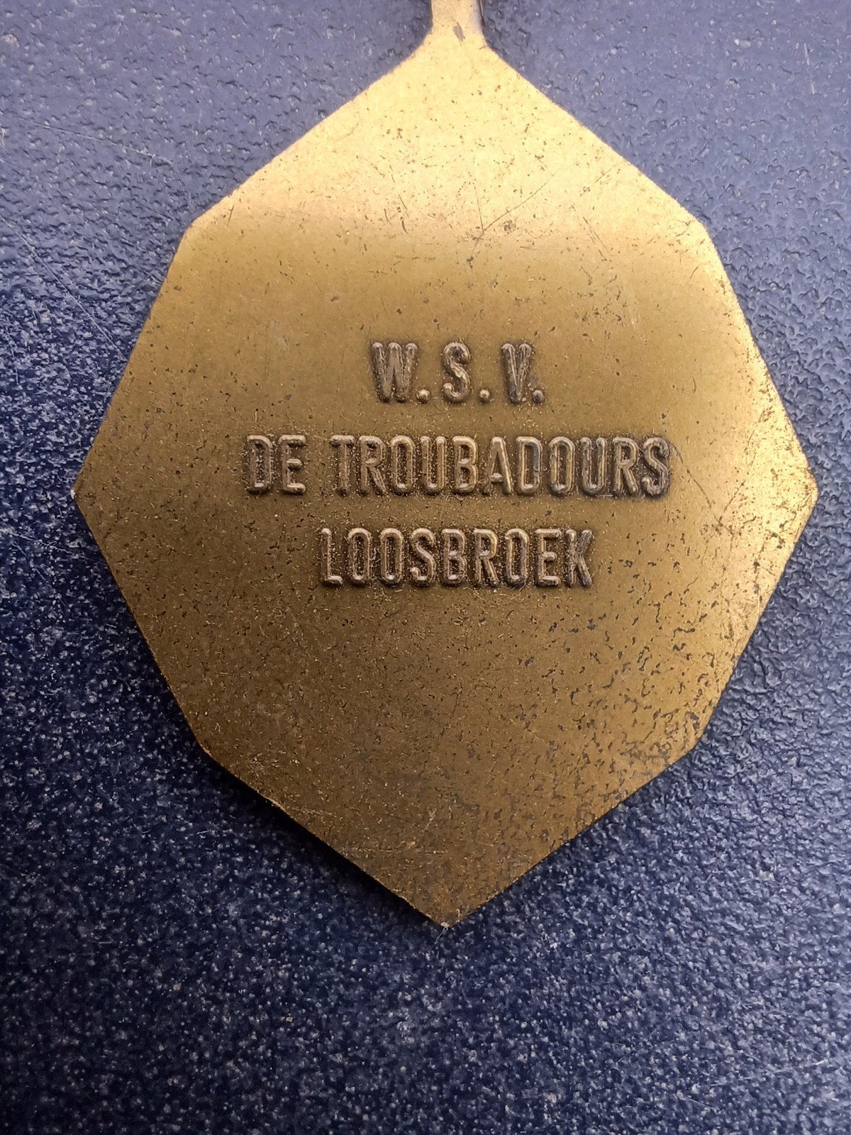 Foto 2 van Medaille WSV De Troubadours Loosbroek