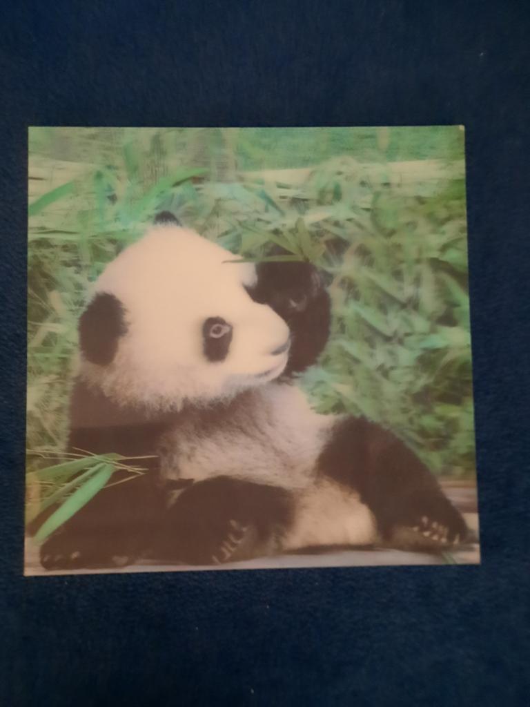 Panda schilderij, Ophalen, 1980 tot heden