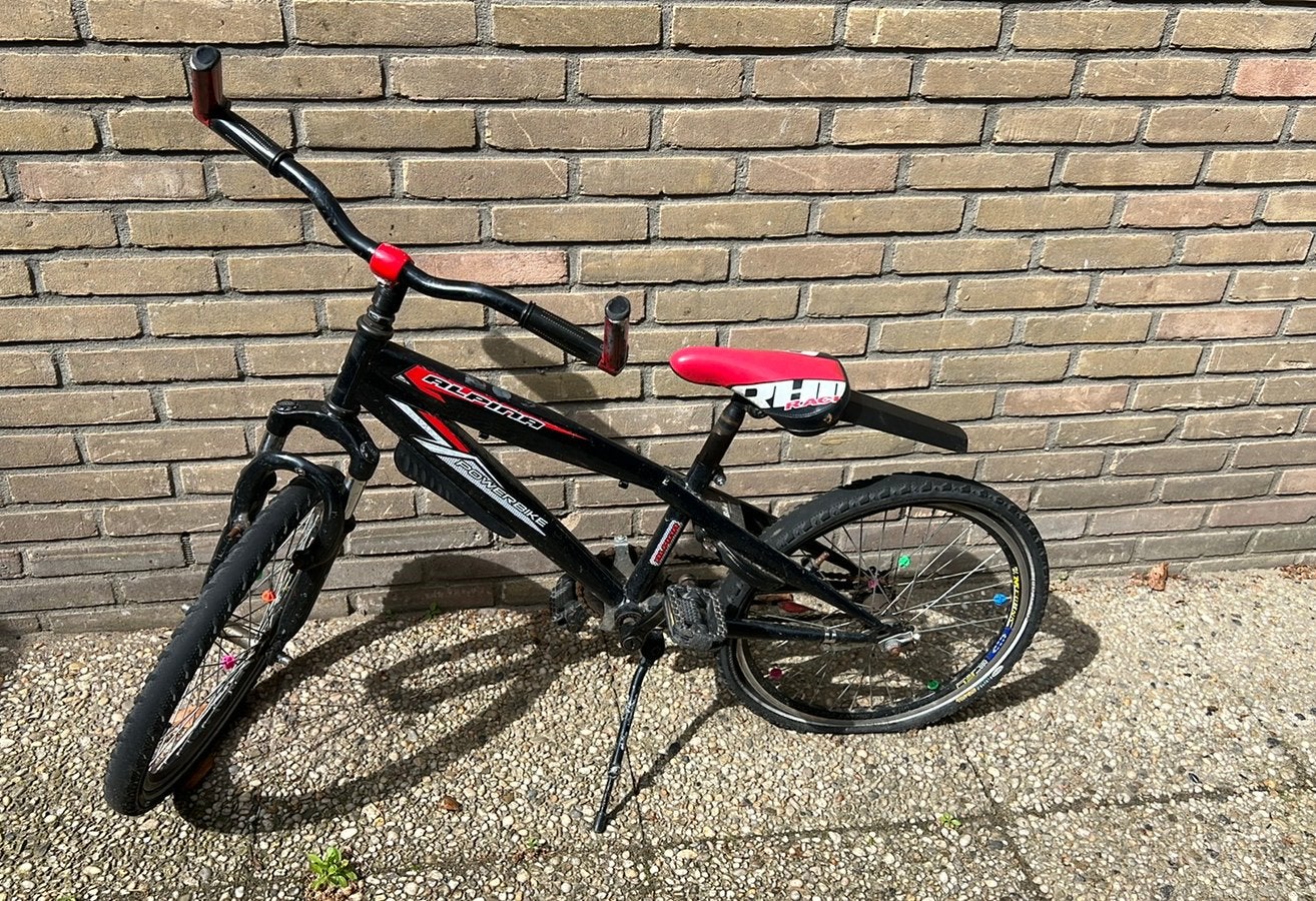 Alpina 20 inch MTB versleten achterband, Ophalen, Terugtraprem, Gebruikt, Staal