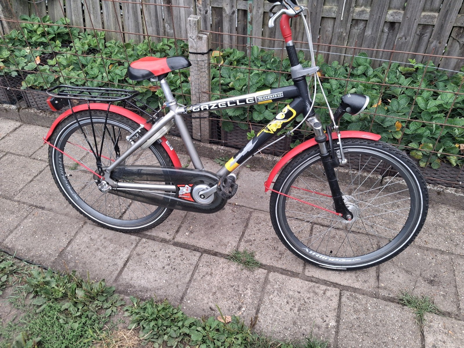Leuke Gazelle kinderfiets, 20 inch, Fietsen en Brommers, Fietsen | Kinderfietsjes, Ophalen, 20 inch of meer, Gebruikt, Velgrem