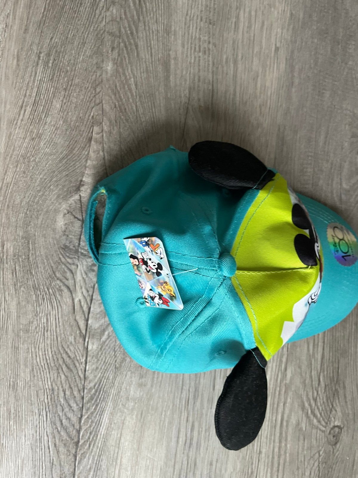 Nieuwe Disney Mickey Mouse Pet - One Size, Ophalen of Verzenden, Nieuw, Jongetje of Meisje, Pet