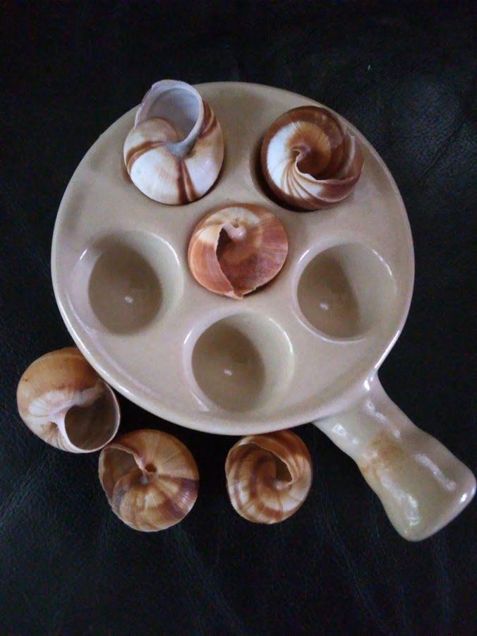 Slakkenschaaltje (escargotsschaaltje), GRATIS kaarsen!, Ophalen of Verzenden