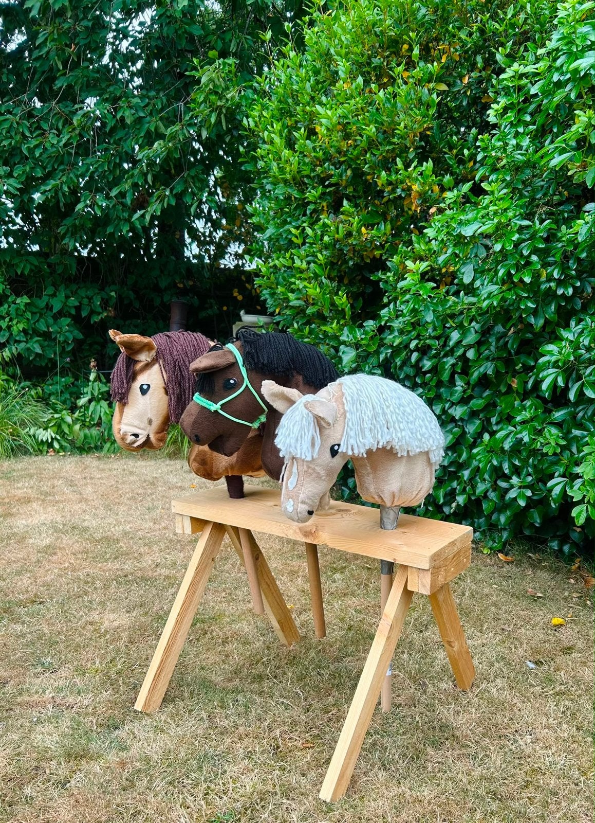 Hobbyhorse, Ophalen of Verzenden, Zo goed als nieuw, Jongen of Meisje
