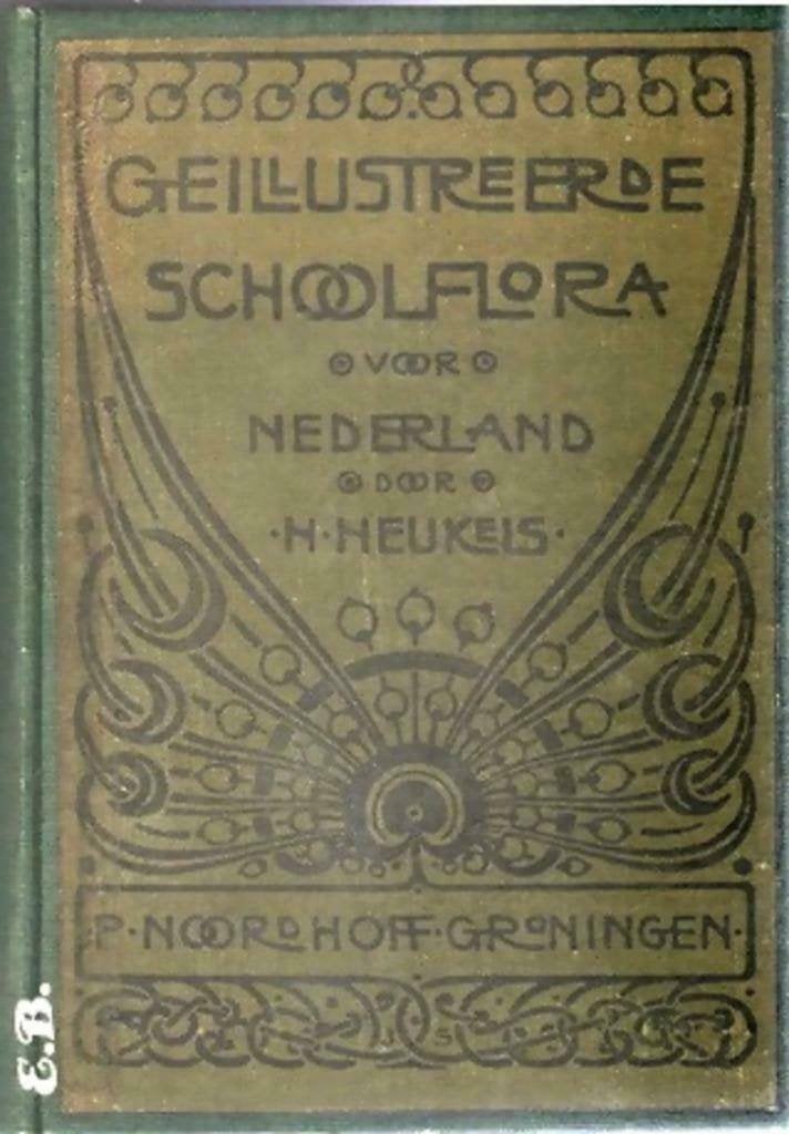 Geillustreerde schoolflora voor Nederland-H.Heukels(1912)"", Ophalen of Verzenden