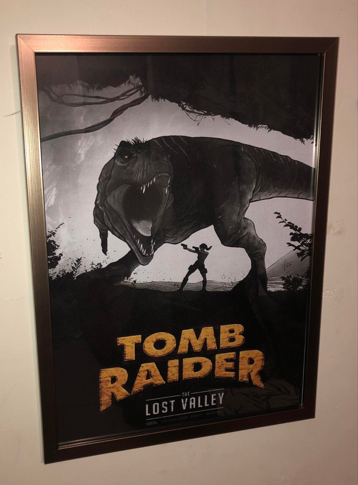 Tomb raider, Verzamelen, Ophalen of Verzenden, Zo goed als nieuw, A1 t/m A3, Film en Tv