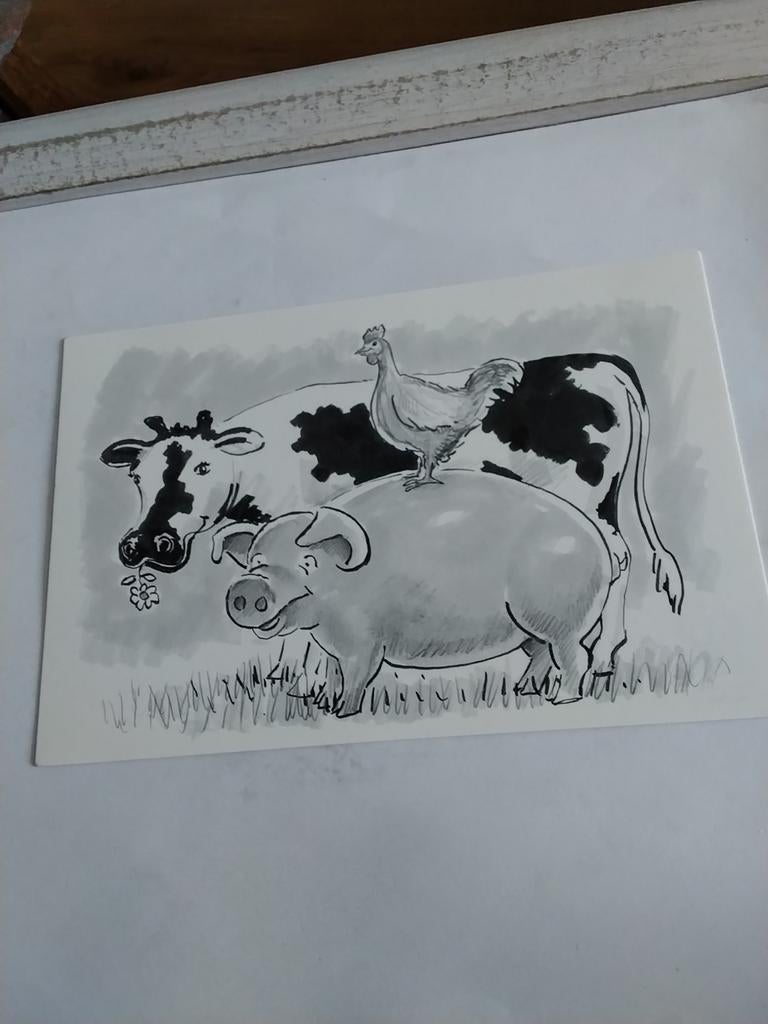 KOE, KIP. VARKEN, Ophalen of Verzenden, Natuur