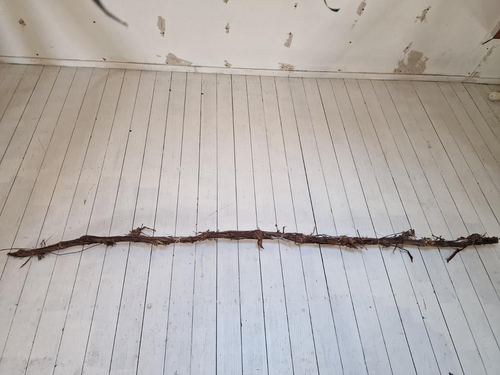 Tak voor terrarium, druif, 2mtr+, 20x, Dieren en Toebehoren, Ophalen, Nieuw, Tak, Plant, Rots of Steen