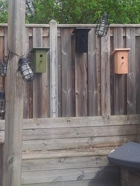 Vogelhuisje zelfde breedte als je schutting, Ophalen of Verzenden, Minder dan 3 meter