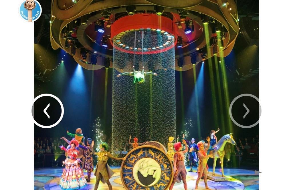 4 AH vouchers voor theatershow Efteling, Ophalen of Verzenden, Nieuw, Overige typen
