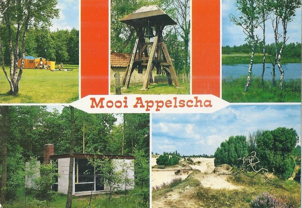 A51 Gelopen ansichtkaart mooi Appelscha, Ophalen of Verzenden, 1980 tot heden, Gelopen